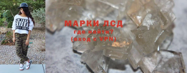 PSILOCYBIN Новодвинск