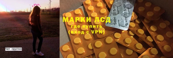 крисы Новозыбков