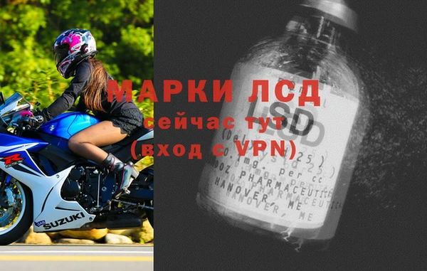 гашик Новокубанск