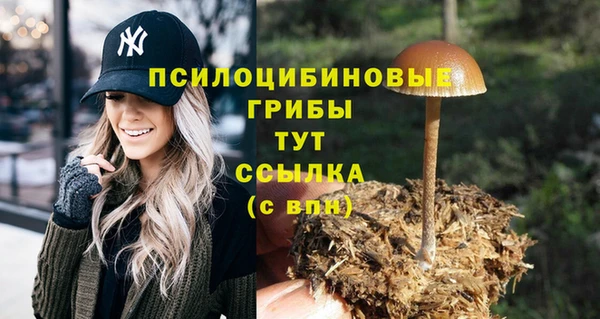 PSILOCYBIN Новодвинск