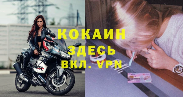 PSILOCYBIN Новодвинск