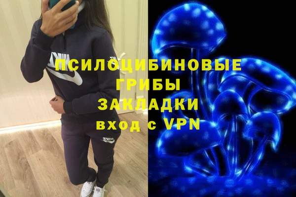 PSILOCYBIN Новодвинск