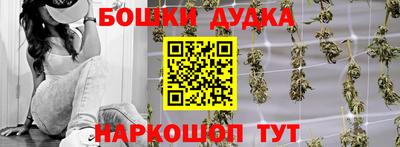 spice Моздок