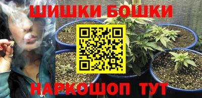 spice Моздок