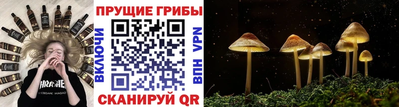 Псилоцибиновые грибы Magic Shrooms  Узловая 