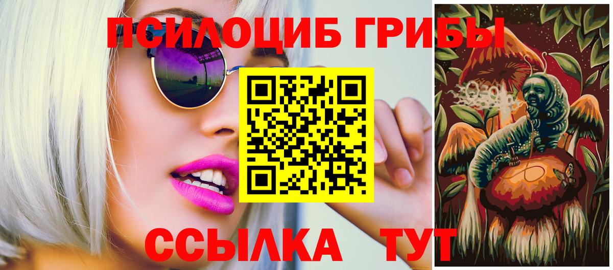 Псилоцибиновые грибы мицелий  Галлюциногенные грибы мухоморы  где купить   Вход с VPN  Узловая 